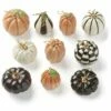 Lenox Mini Pumpkin 10pc Ornament Set Home Seasonal -Lenox Sales 3050612163 RLLZ 1